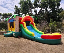 Tropical Palm Tree Water Slide